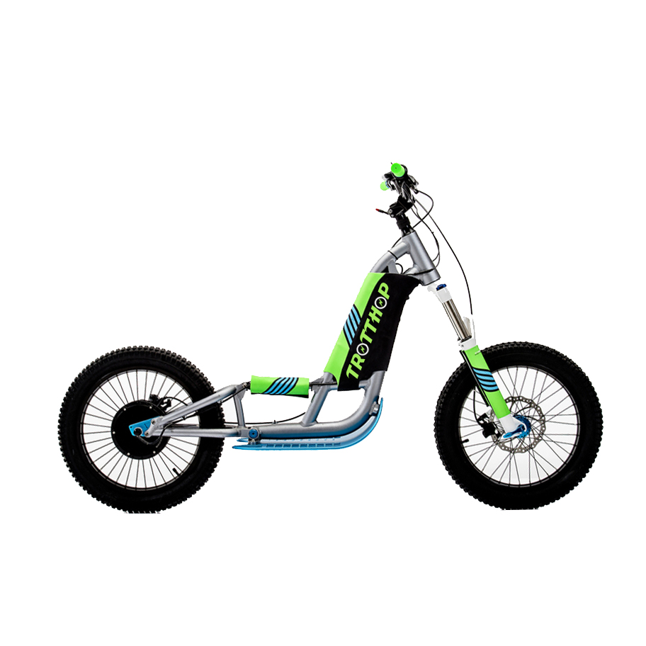 trotte20pouces1roue Vente électriques