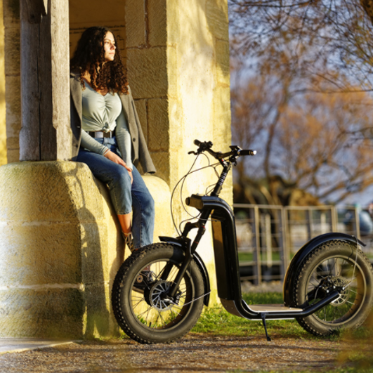 Acheter une trottinette électrique tout terrain pour les professionnels du  monde équin - Tapageur